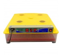 Автоматический инкубатор MS-63/252 (63 куриных, 252 перепелиных яиц)